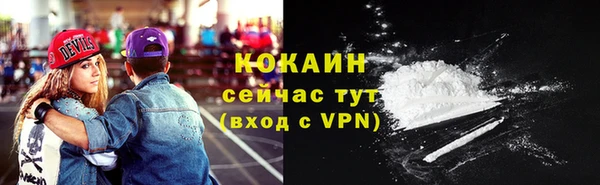 ALPHA PVP Инта