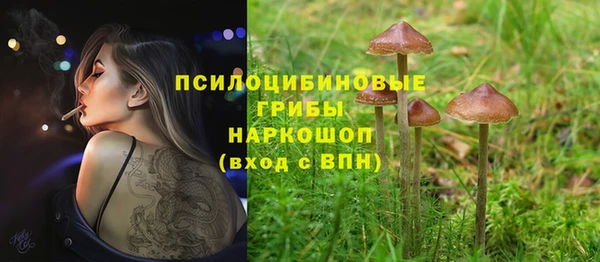прущие крисы Иннополис