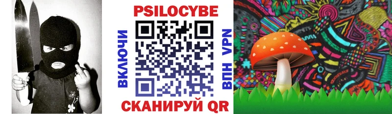 Купить  Юхнов  Галлюциногенные грибы Psilocybine cubensis 